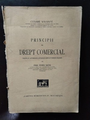 Paul Horia Suciu - Principii de Drept Comercial foto