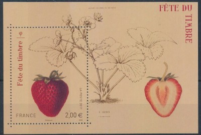 FRANTA 2011 FRUCTE CAPSUNI foto