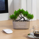 Cumpara ieftin Decor plante artificiale - bonsai - 20 x 9 cm