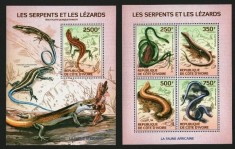 COASTA DE FILDES 2014 FAUNA REPTILE SERPI SOPARLE