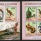 COASTA DE FILDES 2014 FAUNA REPTILE SERPI SOPARLE