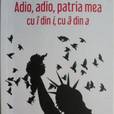 Adio, adio, patria mea cu I din I, cu a din a – Radu Pavel Gheo (cateva sublinieri)