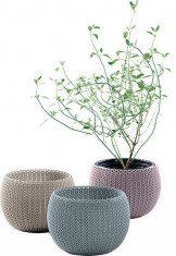 CURVER. Set 3 Ghivece COZIES TRIO