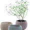 CURVER. Set 3 Ghivece COZIES TRIO