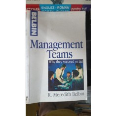 Management Teams Why They Succeed or Fail - R. Meredith Belbin