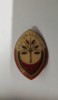 QW9 J 70 - Insigna - tematica pionieri - Prieten al naturii - locul II, Romania de la 1950