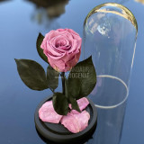 Trandafir Criogenat mov pudrat &Oslash;6,5cm in cupola de sticla 10x20cm
