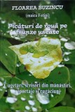 PICATURI DE ROUA PE FRUNZE USCATE VOL.6 NIHIL SINE DEO-FLOAREA BUZINCU-258836
