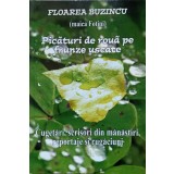 PICATURI DE ROUA PE FRUNZE USCATE VOL.6 NIHIL SINE DEO-FLOAREA BUZINCU-258836