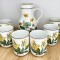 Set - Carafa + pahare - Villeroy and Boch - Botanica - 6 persoane