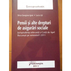 Pensii Si Alte Drepturi De Asigurari Sociale - Silvia Georgiana Ignat Lucia Uta ,292412