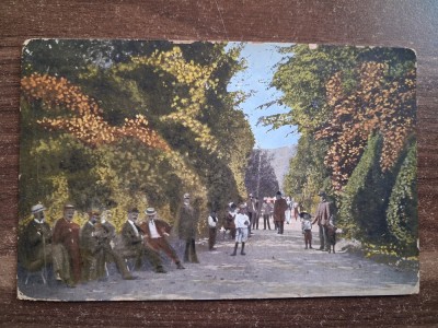Pucioasa - Aleea parcului. foto