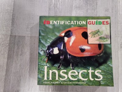 Insects.Identification guides foto