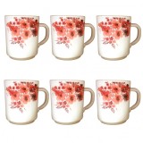 Set 6 Cani din Opal Alb Model EVA 250ml DNC56134