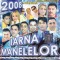 Various - Iarna Manelelor 2008, CD