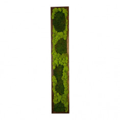 Tablou din licheni 100x15 cm