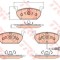 Set placute frana,frana disc SKODA OCTAVIA III Combi (5E5) (2012 - 2016) TRW GDB2080