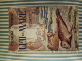 Fenimore Cooper Leii de mare, 1942, Alta editura