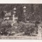 RF66 -Carte Postala- Slanic Moldova, vedere din parc, necirculata