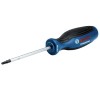 Surubelnita Torx Bosch TX20, 20 x 100 mm, Profesionala, Otel S2