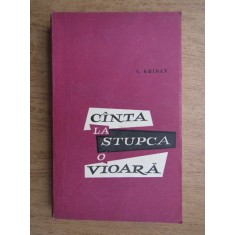 Constantin Ghiban - Canta la stupca o vioara