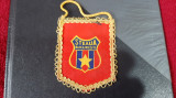 Fanion Steaua