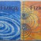 Fizica (2 volume) - David Halliday, Robert Resnick