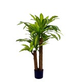Planta decorativa Dracaena in ghiveci verde plastic PP H110 cm
