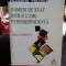 OAMENI DE STAT INTR-O LUME INTERDEPENDENTA - GHITA IONESCU