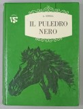 IL PULEDRO NERO di ANN SEWELL , illustrazioni di C. COLOMBI , TEXT IN LIMBA ITALIANA , 1967