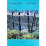 Tichilesti-O lume care se stinge. Cinci zile printre fostii leprosi - 2006 - Ion Dan Voicu (G47)