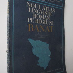 Noul Atlas lingvistic roman pe regiuni Banat - Date despre localitati si infor..