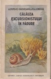 A. Popovici-Baznosanu, M.A. Ionescu - Calauza excursionistului in padure (1937)