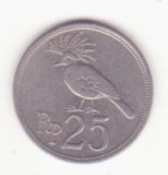 Indonezia 25 rupii 1971 -Victoria Crowned Pigeon .