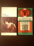 Gustav Rene Hocke - Lumea ca labirint + Manierismul &icirc;n literatură