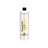 Sampon Iv San Bernard Banana, pentru caini si pisici, 500ml