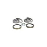 Set rulment roata PEUGEOT J5 platou sasiu 290L FAG 713 6503 10