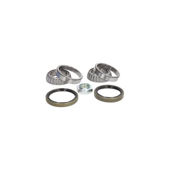 Set rulment roata PEUGEOT J5 platou sasiu 290L FAG 713 6503 10
