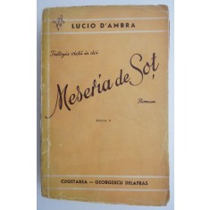 Meseria de sot &ndash; Lucio D&#039;Ambra