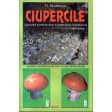Ciupercile. Cultura ciupercilor Agaricus si Pleurotus si ghidul ciupercilor din flora spontana | N. Mateescu