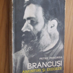 BRANCUSI - AMINTIRI SI EXEGEZE - Petre Pandrea - Editura Meridiane 1967, 261 p.