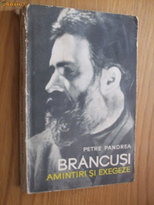 BRANCUSI - AMINTIRI SI EXEGEZE - Petre Pandrea - Editura Meridiane 1967, 261 p. foto