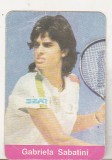 Bnk cld Calendar de buzunar 1992 - Gabriela Sabatini