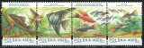 Polonia 1994 Mi 3505/508 strip MNH - Pesti de acvariu 27-3, Nestampilat