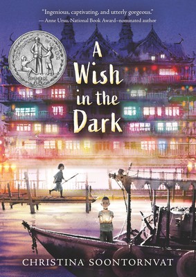 A Wish in the Dark foto