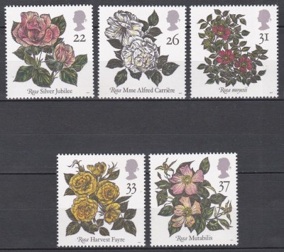 Marea Britanie 1991 - Trandafiri, MNH foto