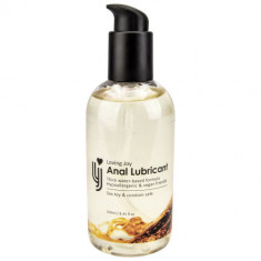 Lubrifianti anali - Loving Joy Lubrifiant Anal Gros si Rezistent 250 ml