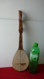 INSTRUMENT MUZICAL CU COARDE ARTIZANAL