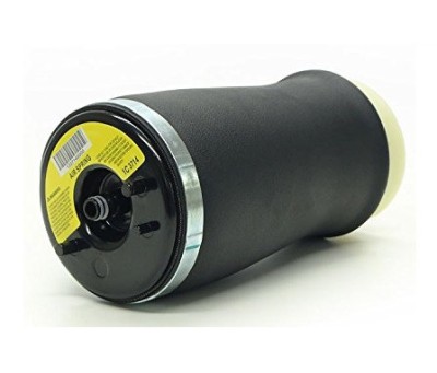 Perna aer, Arc pneumatic BMW X5 (E53), 2000-2007 punte spate, partea stanga foto
