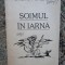 SOIMUL IN IARNA -STEFAN RADOF